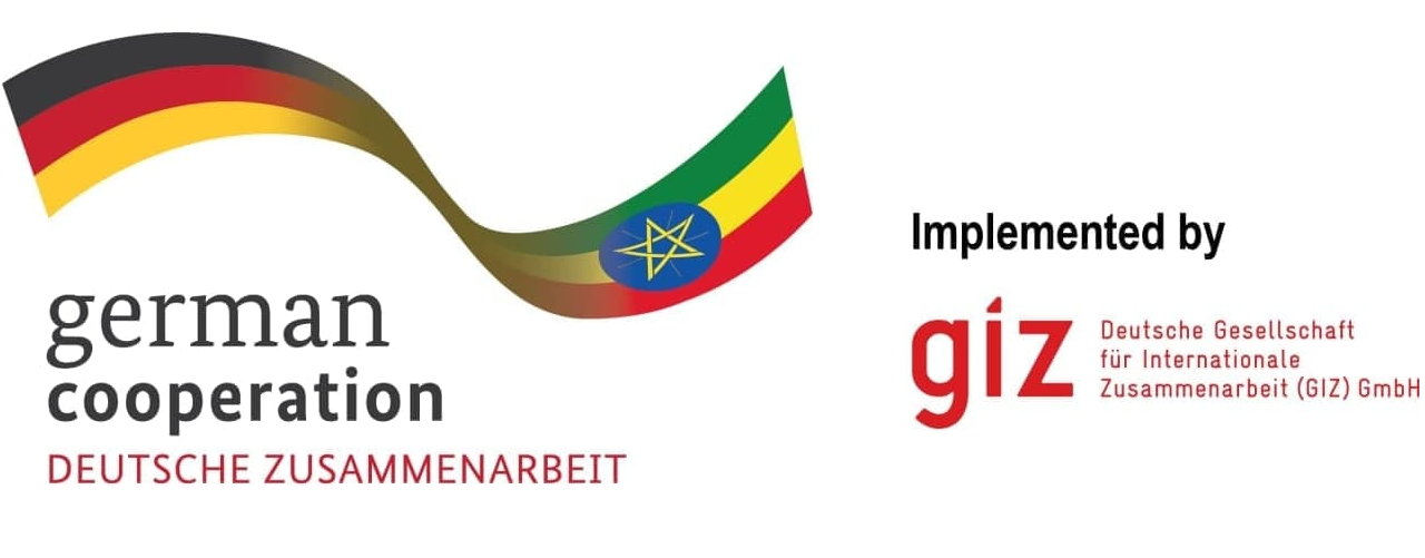 German Society for International Cooperation